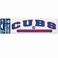 Wincraft MLB Chicago Cubs WCR33825014 Perfect Cut Decals, 3" x 10
