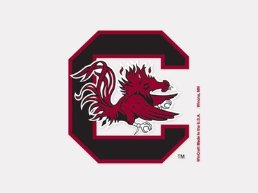 Wincraft NCAA University of South Carolina 49172012 Perfect Cut Color Decal, 4" x 4", Black