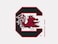 Wincraft NCAA University of South Carolina 49172012 Perfect Cut Color Decal, 4" x 4", Black