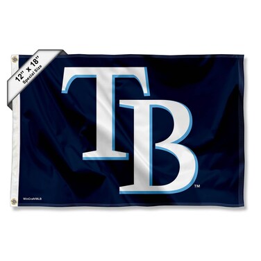 WinCraft Tampa Bay Rays Boat and Golf Cart Flag