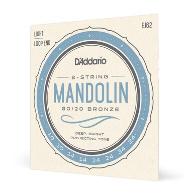 D'Addario EJ62 80/20 Bronze Mandolin Strings, Light, 10-34