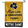 WinCraft Irish Play Like A Champion Garden Banner Flag