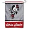 WinCraft Ohio State Buckeyes Vintage Retro Throwback Garden Flag