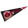 WinCraft Chicago Bulls 6 Time Champions Pennant Flag