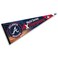 WinCraft Atlanta 4 Time Champions Pennant Flag