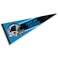 WinCraft Carolina Panthers Official 30 inch Large Pennant