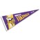 WinCraft Minnesota Vikings Throwback Vintage Retro Pennant Flag