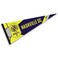 WinCraft Nashville SC Pennant and 12 in X 30 in Banner