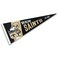 WinCraft New Orleans Saints Throwback Vintage Retro Pennant Flag
