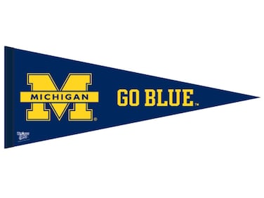 Wincraft NCAA 90993013 University of Michigan Premium Pennant, 12" X 30
