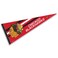 WinCraft Chicago Blackhawks Vintage ThrowbackPennant