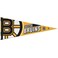 Wincraft NHL 65840014 Boston Bruins Premium Pennant, 12" X 30