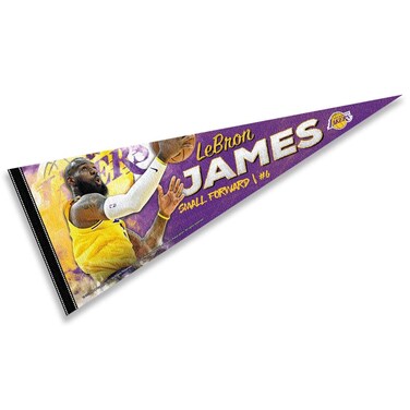 WinCraft Los Angeles Lakers Lebron Pennant Flag