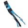 Carolina Panthers Team Windsock