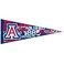 WinCraft NCAA 72898091 University of Arizona Premium Pennant, 12" X 30