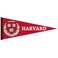 Wincraft NCAA 40046013 Harvard College Premium Pennant, 12" X 30