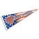 WinCraft New York Knicks Nation American Stripes Pennant Flag