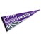 WinCraft Sacramento Kings Pennant Full Size 12 in X 30 in