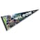 Seattle Seahawks Wilson Pennant Banner Flag