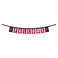 WinCraft Atlanta Falcons Banner String Pennant Flags