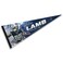 WinCraft Dallas Cowboys Lamb Pennant Banner Flag