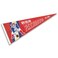 WinCraft New England Patriots Throwback Vintage Retro Pennant Flag