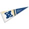WinCraft NFC Conference Pennant Flag Banner
