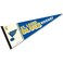 WinCraft NHL 63310081 St. Louis Blues Premium Pennant, 12" X 30