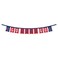 WinCraft Chicago Baseball Banner String Pennant Flags