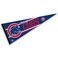 WinCraft Chicago Baseball Large Pennant