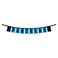 WinCraft Carolina Panthers Banner String Pennant Flags