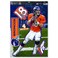 WinCraft NFL Denver Broncos Peyton Manning Multi-Use Decal Sheet, 11"x17", Team Color