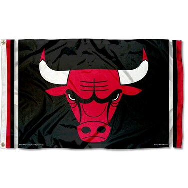 WinCraft Chicago Bulls Flag 3x5 Banner