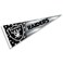 WinCraft Las Vegas Raiders Nation USA Americana Stars and Stripes Pennant Banner Flag
