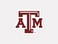 WinCraft NCAA Texas A&amp;M University 92367012 Perfect Cut Color Decal, 4" x 4", Black