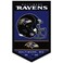 WinCraft Baltimore Ravens Heritage History Banner Pennant