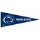 WinCraft NCAA 58638081 Penn State University Premium Pennant, 12" X 30