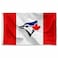 WinCraft Toronto Blue Jays Canada Nation Logo Flag and Banner