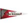 NBA 69670014 Portland Trail Blazers Premium Pennant, 12" X 30