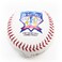 Don Mattingly Baseball Commemorative Edition