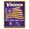 WinCraft Minnesota Vikings Americana Banner Flag Sign