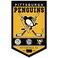 WinCraft Pittsburgh Penguins Heritage History Banner Pennant