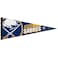 Wincraft NHL Buffalo Sabres 12x30 Premium Style Pennant, One Size, Team Color