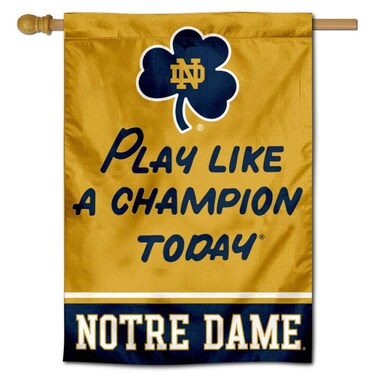 WinCraft Irish Play Like A Champion Today Top Sleeve Banner Flag