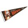 WinCraft Cleveland Browns Throwback Vintage Retro Pennant Flag