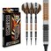 RED DRAGON Panterra 22 Gram Premium Tungsten Steeltip Darts Set with Flights and Stems