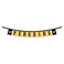 WinCraft Pittsburgh Penguins Banner String Pennant Flags