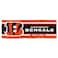 Cincinnati Bengals Large 2x6 Foot Banner