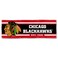 WinCraft Chicago Blackhawks Large 2x6 Foot Banner