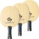 Butterfly Fan Zhendong ZLC FL